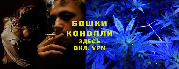 крисы Балахна