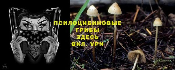 ALPHA-PVP Баксан